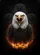 duiyfppz/products/6a410eb1579e66a4a3b4ac2f/gallery/H7niheTXSO