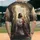 duiyfppz/products/6a410f0c0de6959c5d8e655b/gallery/bpxkhbe1uJ