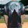 duiyfppz/products/6a41109a4b093482f2ecbc21/gallery/JCobtm6MY4