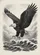 Bald Eagle Wings Spread Mid-Flight Crashing Ocean Waves Feathers - Wildlife Lover Gift Baseball Jersey - 6