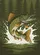 Leaping Pike Fish Muskellunge Forest Lake - Wildlife Lover Gift for Anglers Baseball Jersey - 6
