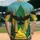 Bird Silhouette Yellow Flame Emerald Leaves - Wildlife Lover Gift Baseball Jersey - 2