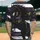 Black Horse Rearing Flowing Mane Tail Purple Gold White Stripes - Horse Lover Gift Baseball Jersey - 2