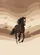 Powerful Galloping Horse Rolling Hills & Sweeping Dunes - Wildlife Lover Gift Baseball Jersey - 6