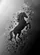 Rearing Horse Triangles Everyday Wear for Horse Owners Baseball Jersey - 6