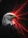 Majestic Eagle Orange Eyes Jagged Red Energy Black Background - For Wildlife Enthusiasts Baseball Jersey - 6
