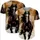 duiyfppz/products/6a41e1b4391deaa79fa4eb5c/gallery/vmdNHqzaof