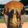 duiyfppz/products/6a41e3339750ae45be85eb6e/gallery/52l8hYvLFh