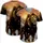 duiyfppz/products/6a41e4aa58df0188704e03ef/gallery/2ahX1ajNrh