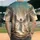 duiyfppz/products/6a41ed75e4390e728c74a56d/gallery/Ca2T8HKe3E