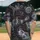 Centipedes Translucent Amoeba Microscopic Forms - Science Enthusiast Gift Baseball Jersey - 2