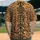 Vertical Central Column Tribal Symbols Leopard Rosettes - Wildlife Lover Lifestyle Gift Baseball Jersey - 2