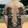 Raccoon Cowboy Western - Rustic Lifestyle Gift Baseball Jersey - 2