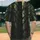 Dappled Light Forest Canopy Textured Tree Trunks Autumn Leaves - Nature Lover Gift Baseball Jersey - 2