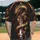 duiyfppz/products/6a421d65e4390e132f74f209/gallery/yYlIZywZzt