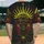 duiyfppz/products/6a421e38e4390e9f8374f371/gallery/4SW7kUfiy-