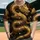 duiyfppz/products/6a421f66e4390e0ae174f526/gallery/bpxqJrd2ij
