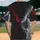 duiyfppz/products/6a421ff7ad77d9099780def6/gallery/Ur21-Cc7s3