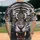 duiyfppz/products/6a422132ad77d95c0580e05f/gallery/y9KsFbWtuu