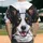 duiyfppz/products/6a4224aae03b541c72c807b8/gallery/znaTXGWczt