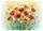 duiyfppz/products/6a42268ef71d3f27074e681b/gallery/nUBu_kcHbO