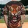 duiyfppz/products/6a422724ad77d98c9f80f1e0/gallery/BlxuDopjkx