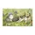 duiyfppz/products/6a4227bcefa3a536f428781a/gallery/Y-mRiiQ_Jl
