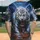 duiyfppz/products/6a422810391dea1337a54a8c/gallery/eFYVx3G4Oi