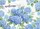 duiyfppz/products/6a42292ef71d3f689e4e70e7/gallery/KlUVkuk0Ax