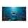 duiyfppz/products/6a4229a5f71d3f35a44e7246/gallery/ZQpkaSgBif