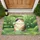 15x25/1lOv2sGI_O