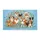 duiyfppz/products/6a422be78adf55139b83a53a/gallery/abJwd5WVEL