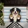 duiyfppz/products/6a422ce7f71d3f4d274e7fd2/gallery/XfufiJ1pgh