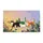 duiyfppz/products/6a422d642f978260e15e45a9/gallery/Q-GhHtSLE6