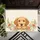 duiyfppz/products/6a422d77efa3a532612888e5/gallery/xd6JMhTiYU