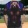 duiyfppz/products/6a422e81f71d3fbd824e84e1/gallery/sxQ8xOeXFl