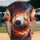 duiyfppz/products/6a422ff28adf556e6783b289/gallery/Dktc-L4ThC