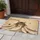 duiyfppz/products/6a4231812f978258575e4c89/gallery/Axa3uHmlAq