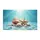 duiyfppz/products/6a4233ab8adf555d2783b7a7/gallery/jhIFFhevUp