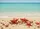duiyfppz/products/6a4236fb17b4ec4142e64df2/gallery/7NpTOTDS-u