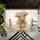 duiyfppz/products/6a423abc2f978262455e639d/gallery/1p1x5JCom2