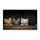 duiyfppz/products/6a423e3a8adf55a28583cb0e/gallery/QauAzNJeCS