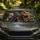 Realistic Raptor And T Rex Jungle Cabin Scene For Dino Fans Road Trip Halloween Gift Car Sunshade - 5