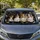 Four Sheltie Dogs Realistic Portrait For Road Trips And Outdoor Parking Dog Lovers Car Sunshade - 2