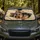 Cute Yorkshire Terrier Puppy On Cozy Ivory Bedding For Dog Lovers Travel Style Gift Car Sunshade - 5