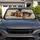 Cute Yorkshire Terrier Puppy On Cozy Ivory Bedding For Dog Lovers Travel Style Gift Car Sunshade - 2