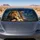 Lion And Lamb With Cross Psalm 42:10 Scripture Decor For Christian Faith Gifts Believers Car Sunshade - 4