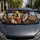 Startled Dog And Tabby Cat Road Trip Desert Adventure For Pet Lovers And Travelers Car Sunshade - 5