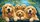 Golden Retriever Pack With Blue Collars For Dog Lover Road Trip Style Gift For Pet Owners Car Sunshade - 6