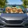 Golden Retriever Pack With Blue Collars For Dog Lover Road Trip Style Gift For Pet Owners Car Sunshade - 1
